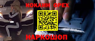 шишки Лесосибирск