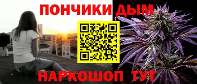 шишки Лесосибирск