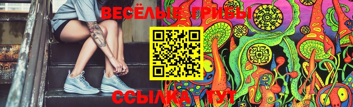 Галлюциногенные грибы GOLDEN TEACHER Иваново