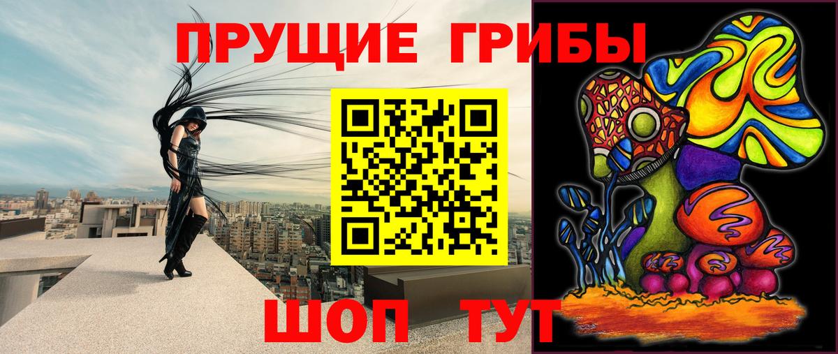 Галлюциногенные грибы Cubensis  Вход с VPN  Псилоцибиновые грибы прущие грибы  Иваново 
